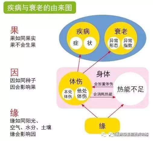 数字娱乐新领域探索，最新在线理论片赏析