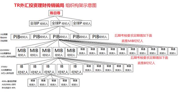 TR外汇最新动态，市场趋势、政策影响与交易策略调整全解析