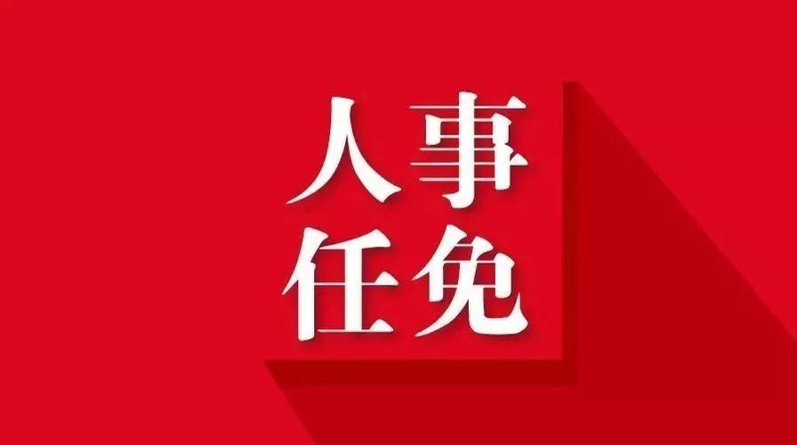 中央最新人事任免动态更新