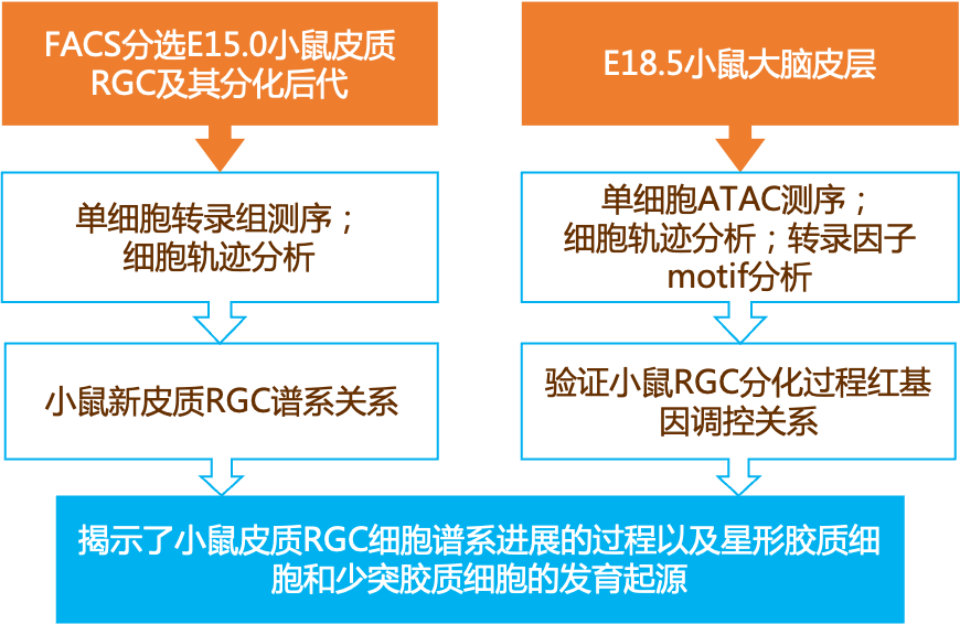 2024新奥正版资料免费提供,广泛的解释落实方法分析_复古款13.905