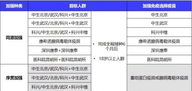 新澳门今晚精准一肖,快速解答策略实施_增强版99.409