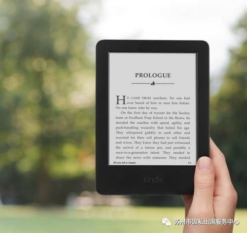 新澳全年免费资料大全,诠释解析落实_Kindle14.859