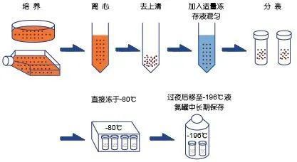 六盒宝典精准资料期期精准｜标准化流程评估